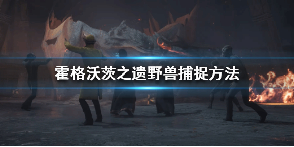 《霍格沃茨之遗》野兽怎么抓？野兽捕捉方法