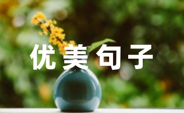 2023五一劳动节的优美句子简短