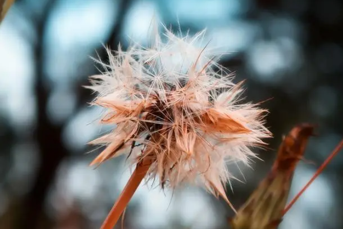 给师父请安简短的话语