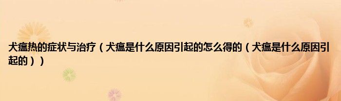 犬瘟热的症状与治疗（犬瘟是什么原因引起的怎么得的（犬瘟是什么原因引起的））