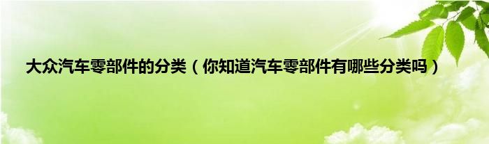 大众汽车零部件的分类（你知道汽车零部件有哪些分类吗）