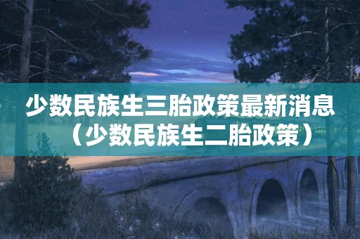 少数民族生三胎政策最新消息（少数民族生二胎政策）