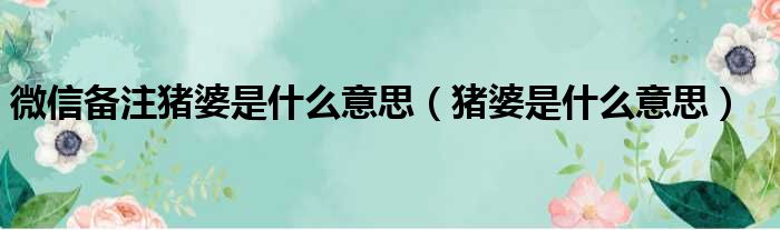 微信备注猪婆是什么意思（猪婆是什么意思）