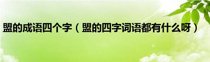 盟的成语四个字（盟的四字词语都有什么呀）