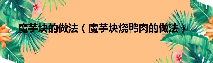 魔芋块的做法（魔芋块烧鸭肉的做法）