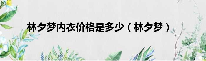 林夕梦内衣价格是多少（林夕梦）