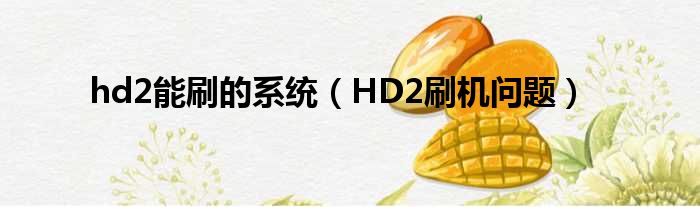 hd2能刷的系统（HD2刷机问题）