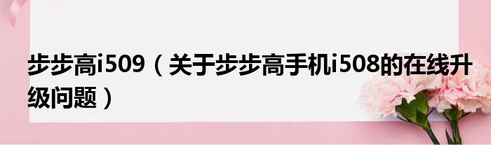 步步高i509（关于步步高手机i508的在线升级问题）