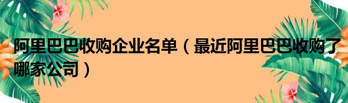 阿里巴巴收购企业名单（最近阿里巴巴收购了哪家公司）