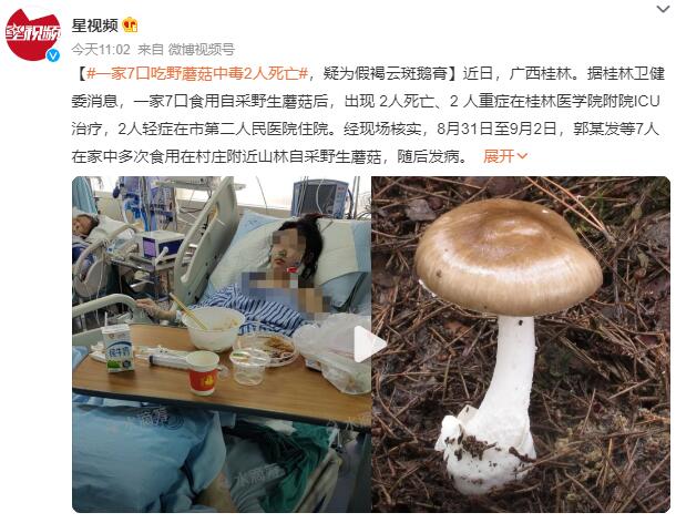 一家7口吃野菇2人死亡2人进ICU：在家中多次食用自采野生蘑菇