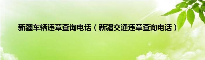 新疆车辆违章查询电话（新疆交通违章查询电话）