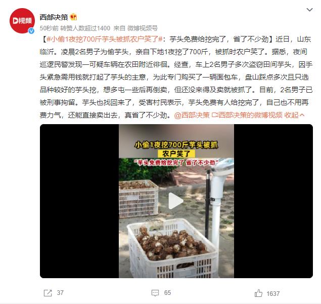 小偷1夜挖700斤芋头被抓农户笑了：芋头免费给挖完了，真省了不少劲