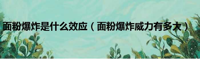 面粉爆炸是什么效应（面粉爆炸威力有多大）