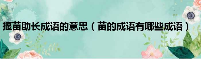 揠苗助长成语的意思（苗的成语有哪些成语）