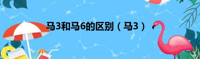 马3和马6的区别（马3）