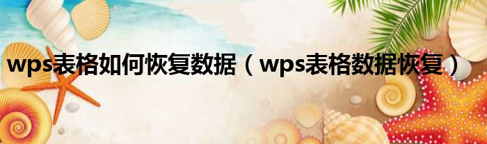 wps表格如何恢复数据（wps表格数据恢复）