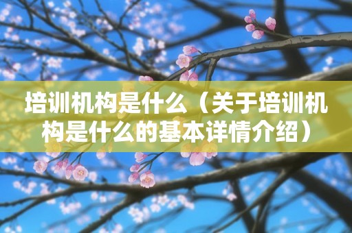 培训机构是什么（关于培训机构是什么的基本详情介绍）