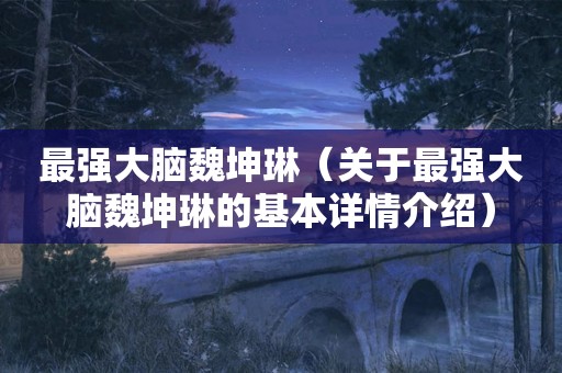 最强大脑魏坤琳（关于最强大脑魏坤琳的基本详情介绍）