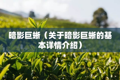 暗影巨蜥（关于暗影巨蜥的基本详情介绍）