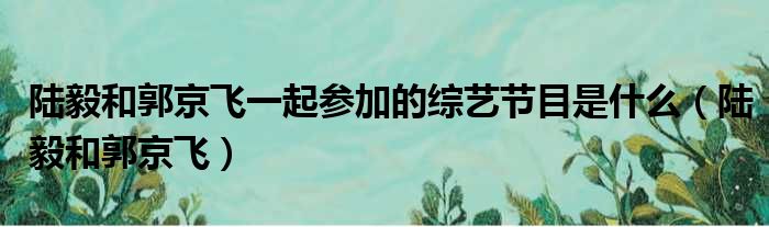 陆毅和郭京飞一起参加的综艺节目是什么（陆毅和郭京飞）