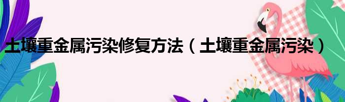 土壤重金属污染修复方法（土壤重金属污染）