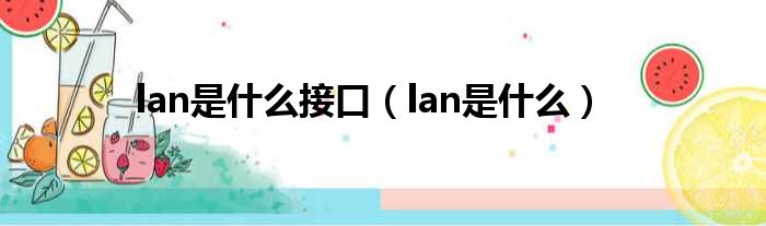 lan是什么接口（lan是什么）