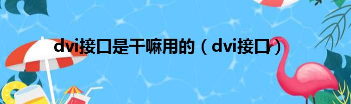 dvi接口是干嘛用的（dvi接口）