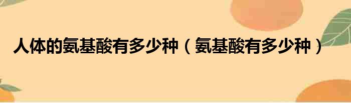 人体的氨基酸有多少种（氨基酸有多少种）