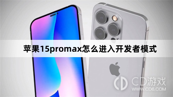 苹果15promax进入开发者模式方法