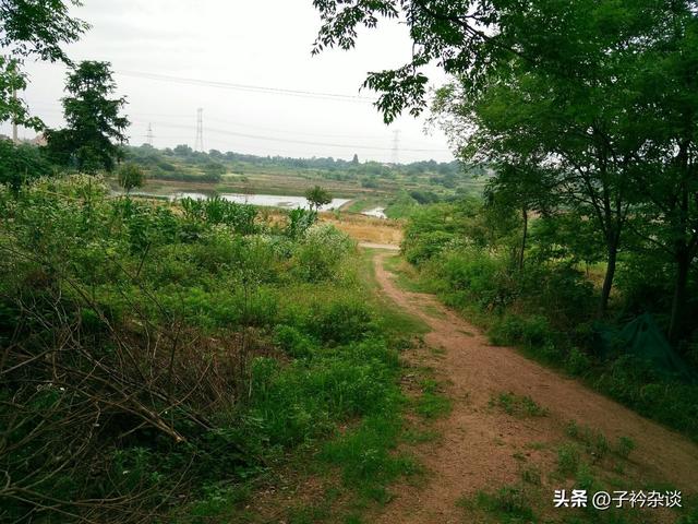 农村除夕祭祖地点