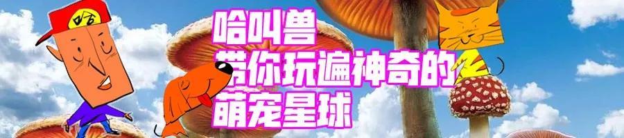 狗翻肠子有什么好的治疗方法