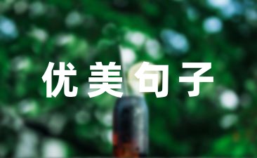 简洁幸福优美句子62句