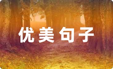 关于新年的优美句子的摘抄18条