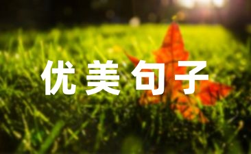 小学生的优美句子汇集77句