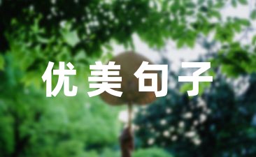 创新的优美句子15句