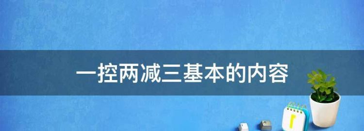 一控两减三基本的内容