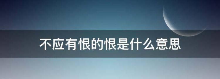 不应有恨恨的意思是什么内容又是什么