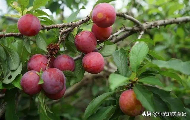 夏天最不能错过的5样水果