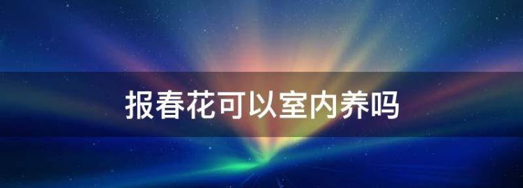 报春花有毒吗 适合室内养吗