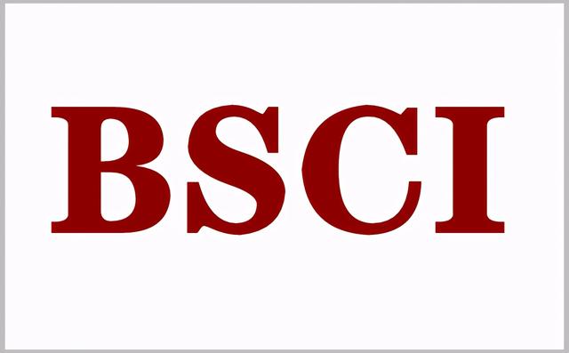 bsci验厂审核多久