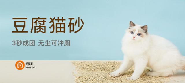 可爱猫咪的天堂