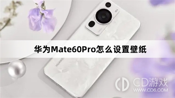 华为Mate60Pro设置壁纸教程