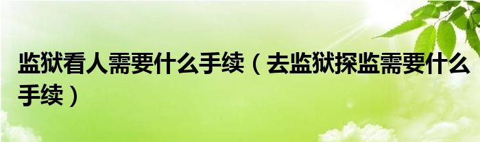 监狱看人需要什么手续