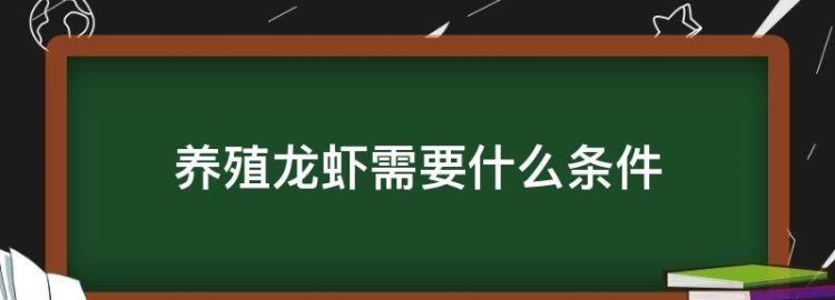 龙虾养殖需要什么条件