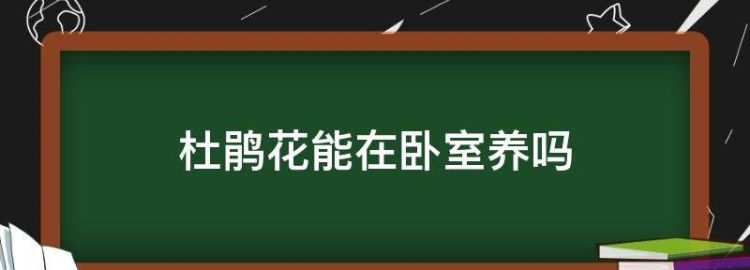 杜鹃花是否有毒 不建议将杜鹃花放在卧室里