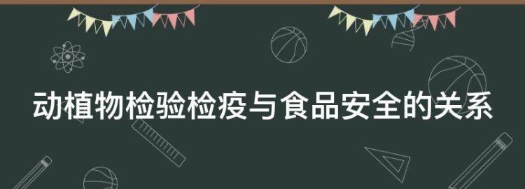 动植物检验检疫与食品安全的关系