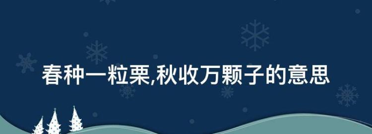 春种一粒栗秋收万颗子的意思