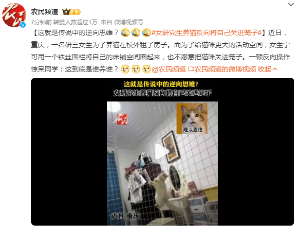 女研究生养猫反向将自己关进笼子 同学惊呆：这到底是谁养谁？