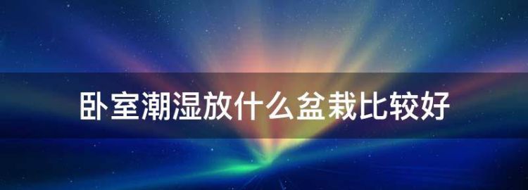 卧室潮湿放什么盆栽比较好