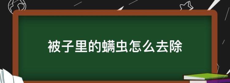 如何去除被子上的螨虫和灰尘